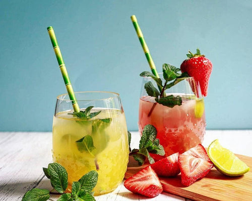 Bamboo Print Biodegradable Paper Straws — Box of 100