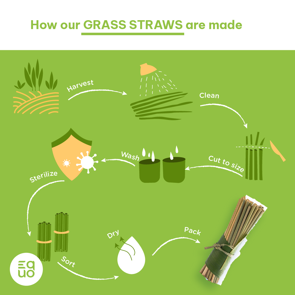 Grass Drinking Straws by EQUO — Biodegradable, Natural Sedge