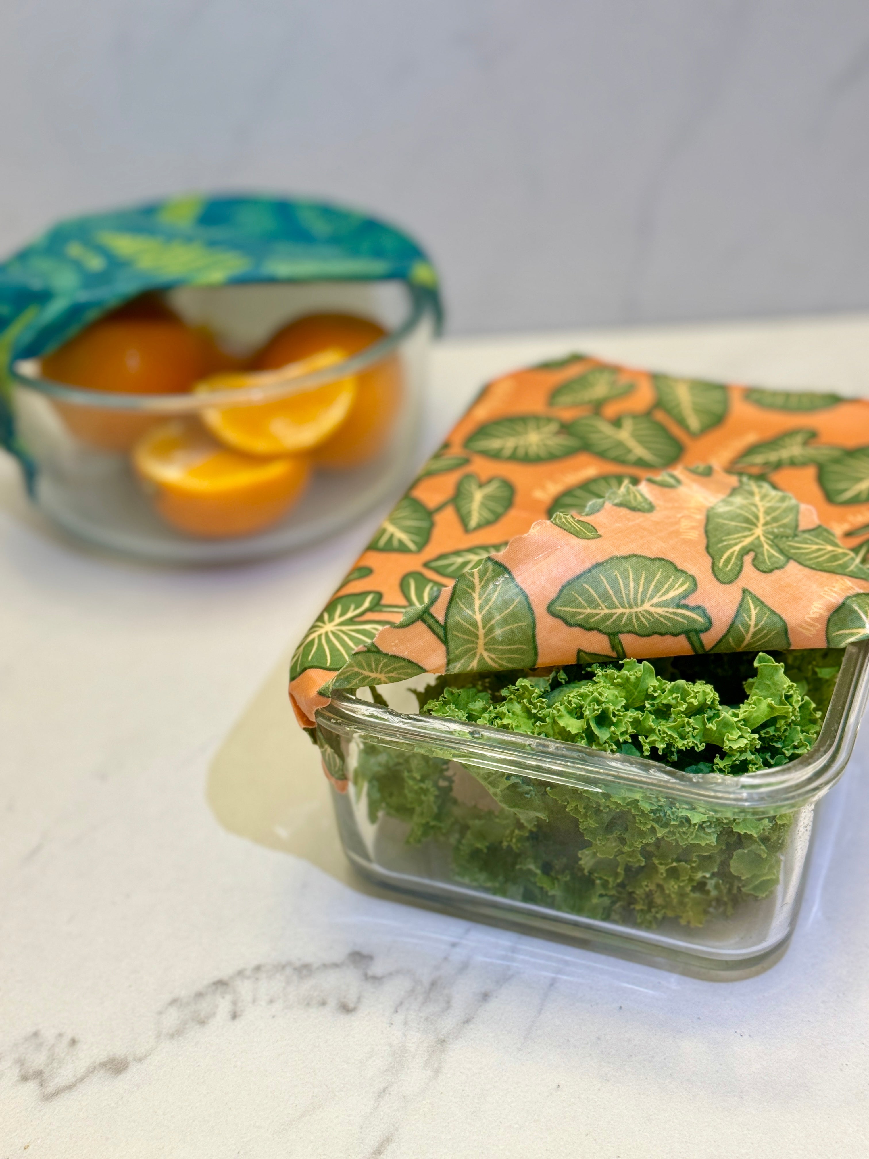 Beeswax Gift Wrap Roll | Reusable as Food Wrap | Hawaiian Taro Leaf Design
