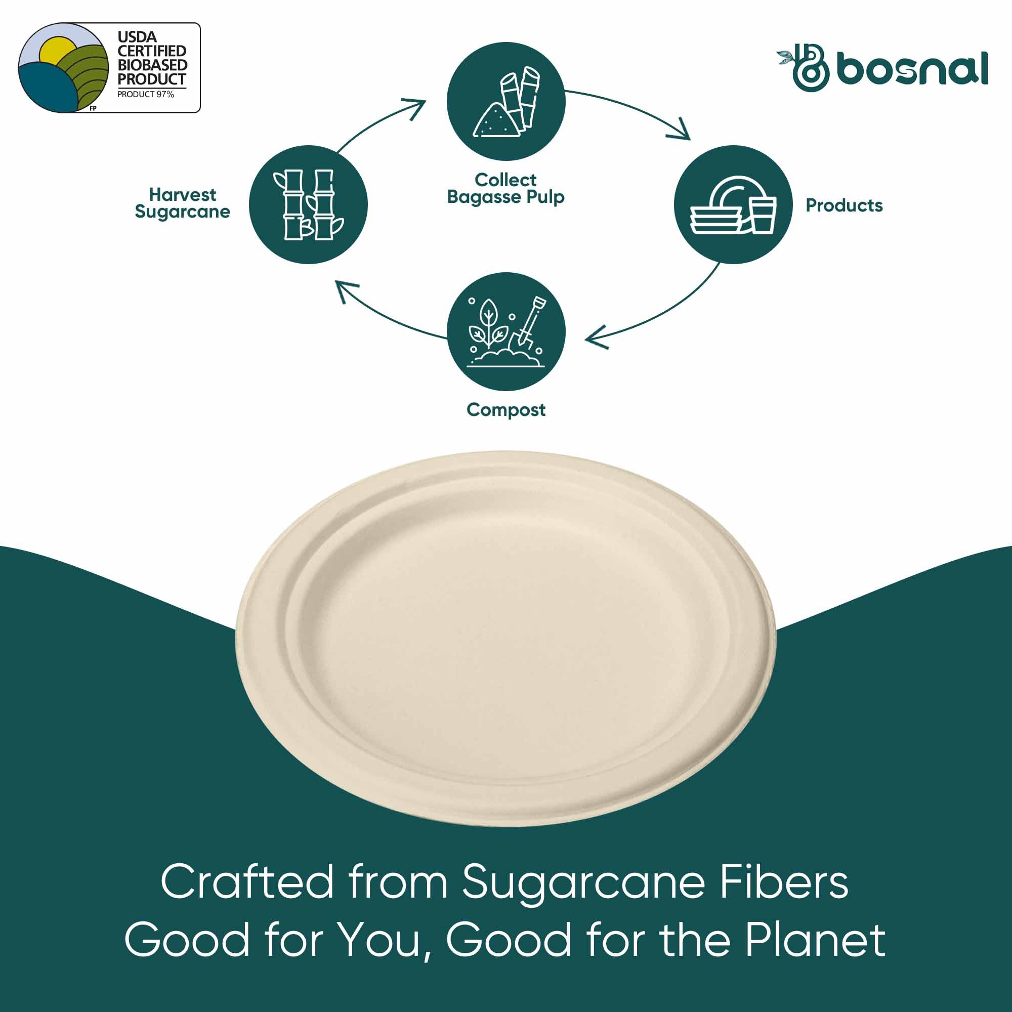 Compostable Sugarcane Plates — 10", 500-Piece Case