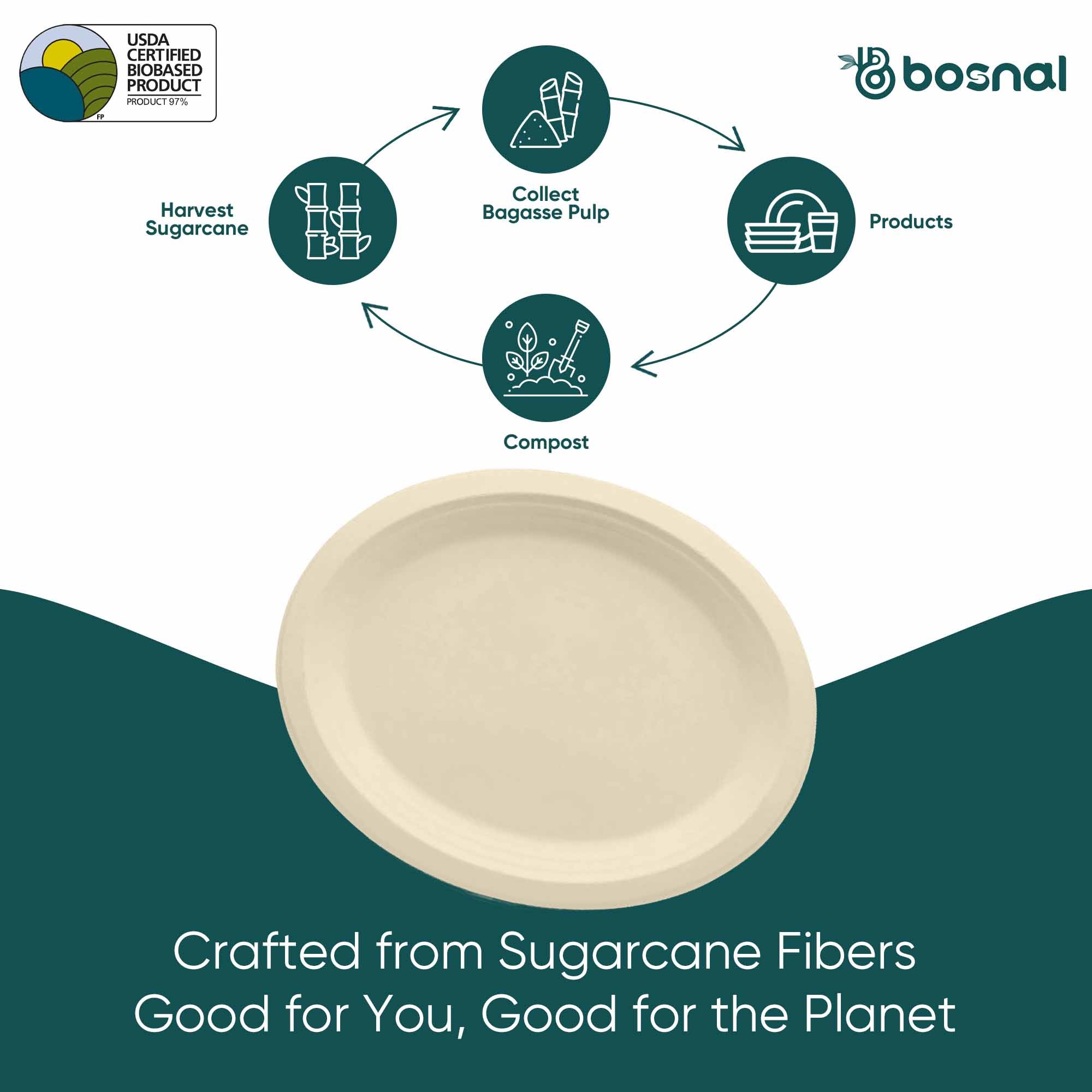 Compostable Sugarcane Plates – 10" Oval