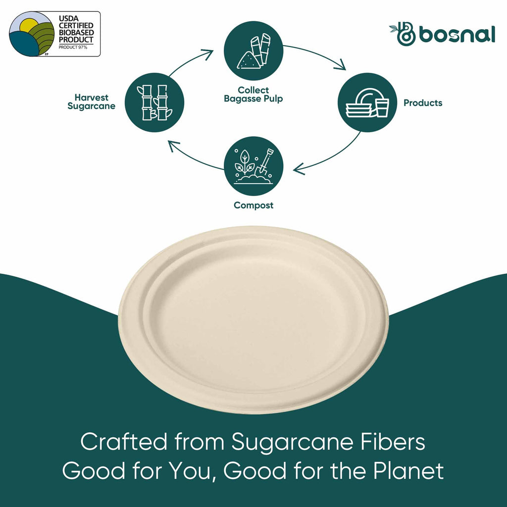 Compostable Sugarcane Plates | 10" Round