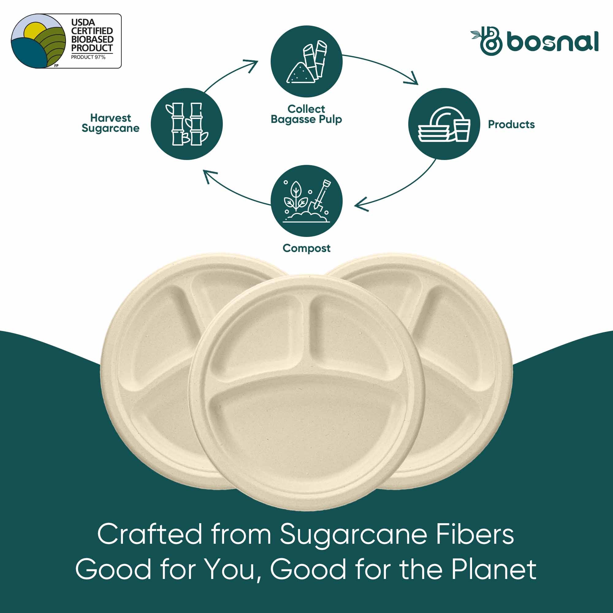 Compostable Sugarcane Plates — 10", 3-Compartment, Round | Bagasse