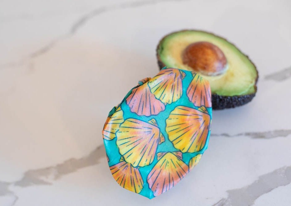 Beeswax Gift Wrap Roll | Reusable as Food Wrap | Shells Design