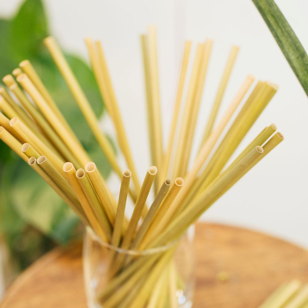 Grass Drinking Straws by EQUO — Biodegradable, Natural Sedge