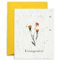 Congrats — Wildflower Seed Paper Card