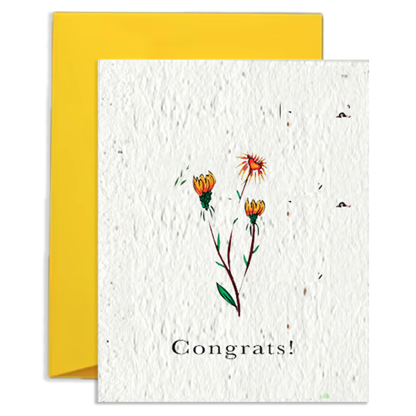 Congrats — Wildflower Seed Paper Card