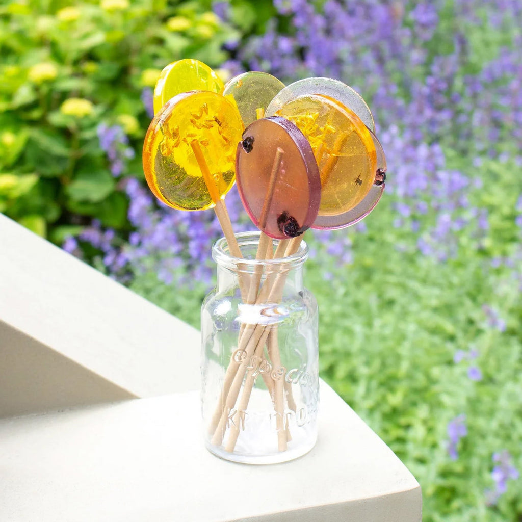 Large Honey Lollipops — Handmade in the USA, Assorted Flavors